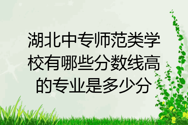 湖北中专师范类学校有哪些分数线高的专业是多少分