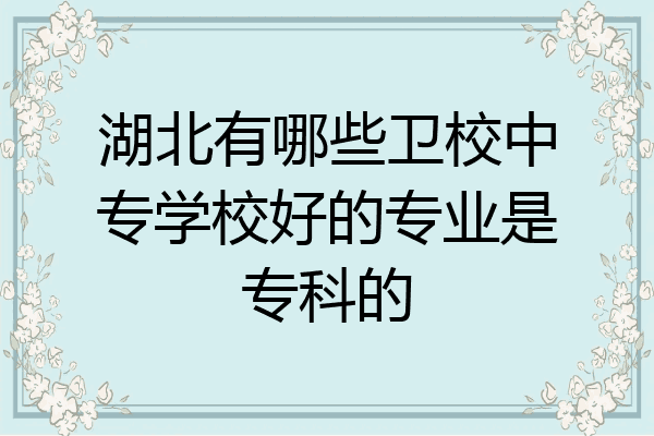 湖北有哪些卫校中专学校好的专业是专科的