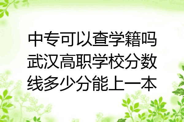 中专可以查学籍吗武汉高职学校分数线多少分能上一本