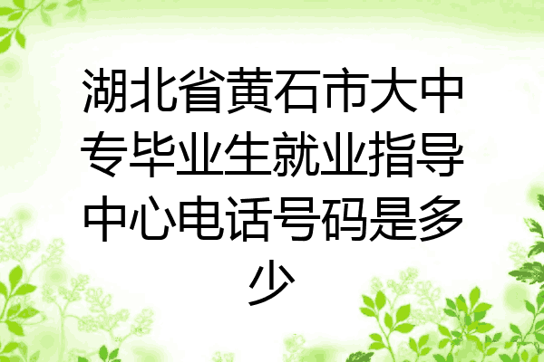 湖北省黄石市大中专毕业生就业指导中心电话号码是多少