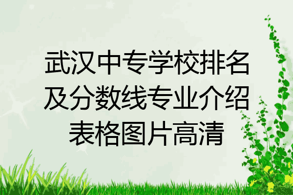 武汉中专学校排名及分数线专业介绍表格图片高清