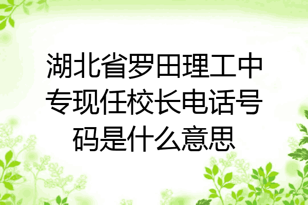 湖北省罗田理工中专现任校长电话号码是什么意思