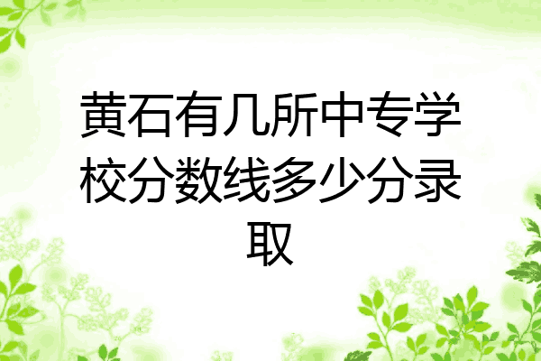 黄石有几所中专学校分数线多少分录取
