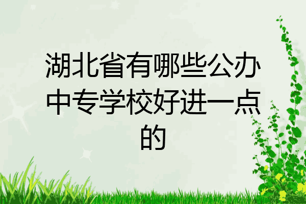 湖北省有哪些公办中专学校好进一点的