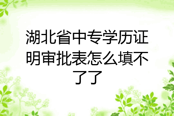 湖北省中专学历证明审批表怎么填不了了
