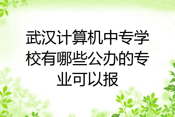 武汉计算机中专学校有哪些公办的专业可以报