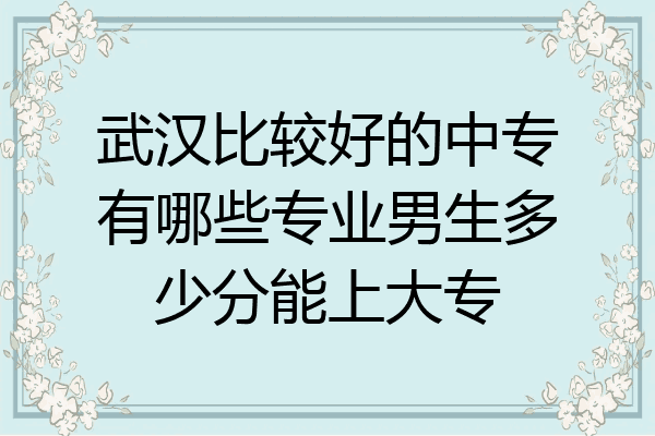 武汉比较好的中专有哪些专业男生多少分能上大专