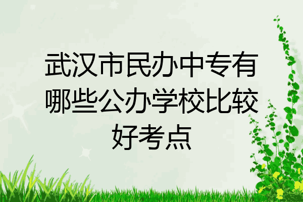 武汉市民办中专有哪些公办学校比较好考点