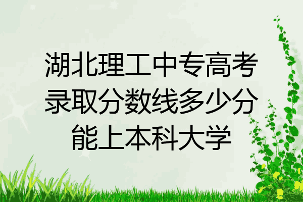 湖北理工中专高考录取分数线多少分能上本科大学