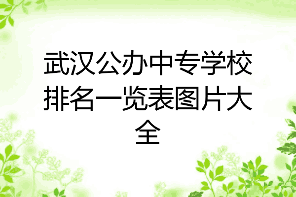 武汉公办中专学校排名一览表图片大全