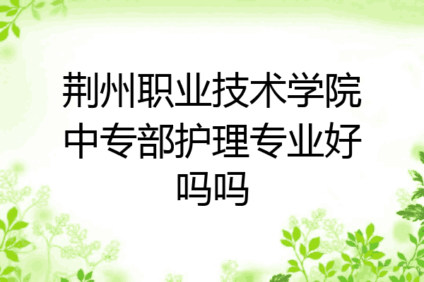 荆州职业技术学院中专部护理专业好吗吗