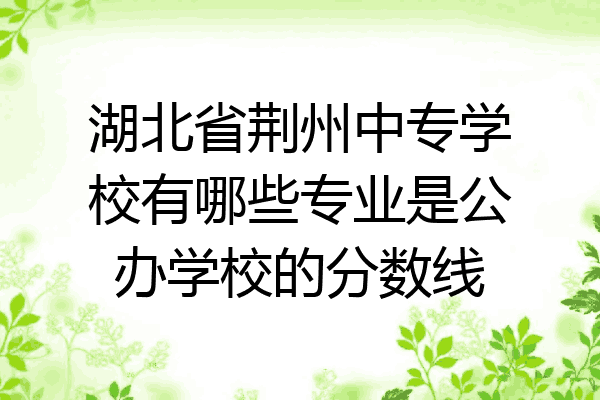 湖北省荆州中专学校有哪些专业是公办学校的分数线