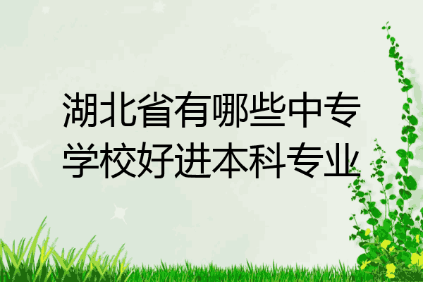 湖北省有哪些中专学校好进本科专业