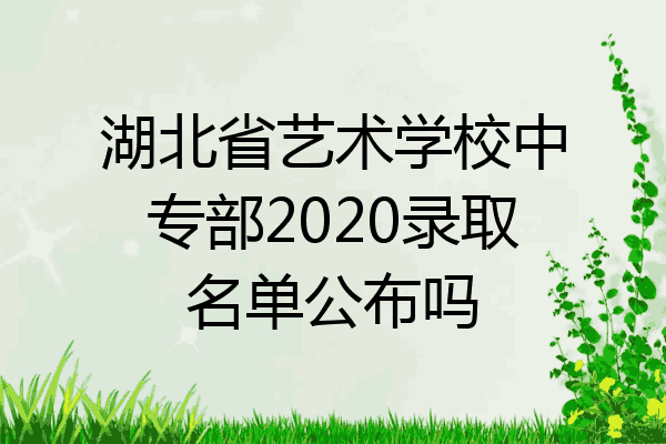 湖北省艺术学校中专部2020录取名单公布吗