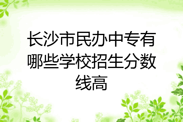 长沙市民办中专有哪些学校招生分数线高