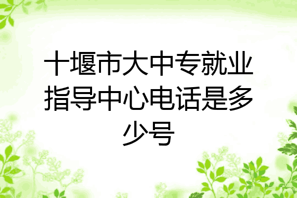 十堰市大中专就业指导中心电话是多少号