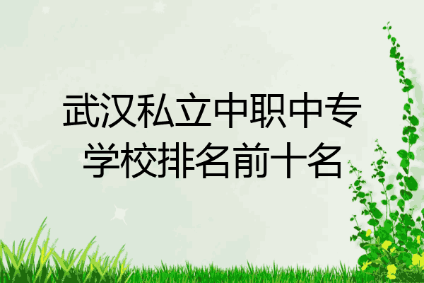 武汉私立中职中专学校排名前十名