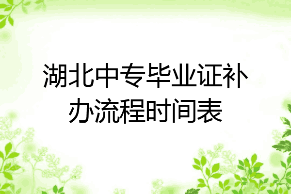 湖北中专毕业证补办流程时间表