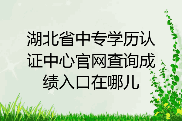湖北省中专学历认证中心官网查询成绩入口在哪儿
