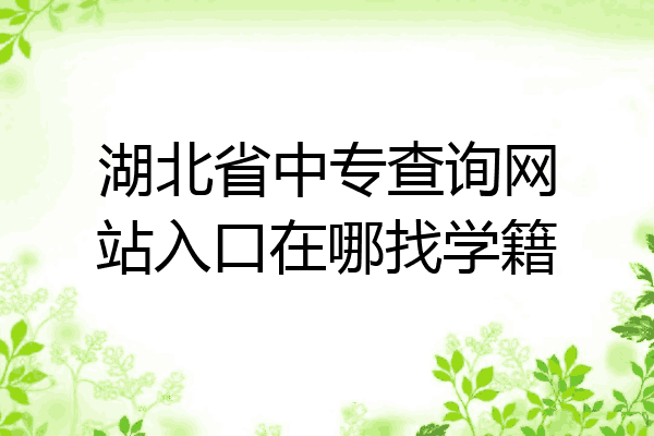 湖北省中专查询网站入口在哪找学籍
