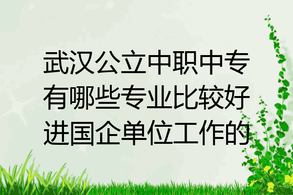 武汉公立中职中专有哪些专业比较好进国企单位工作的
