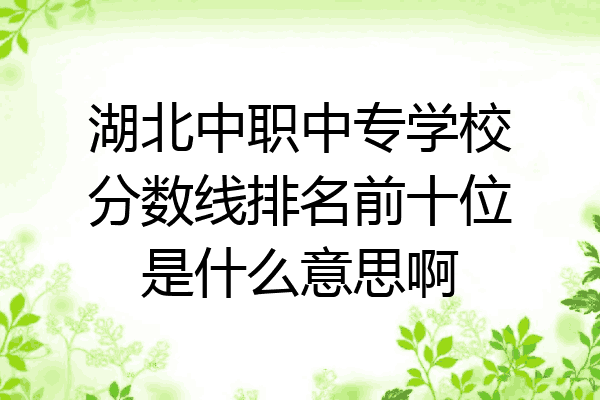 湖北中职中专学校分数线排名前十位是什么意思啊