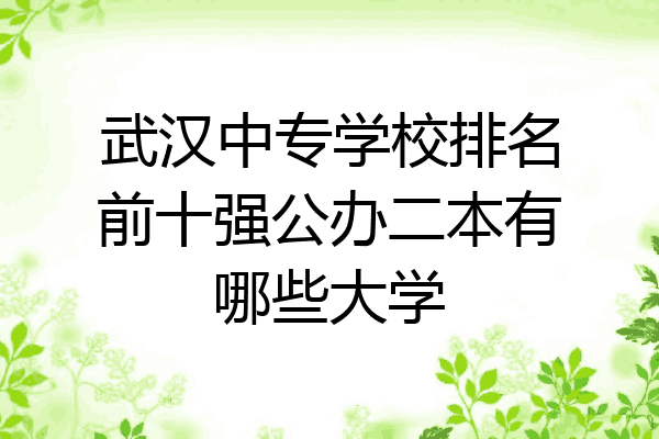 武汉中专学校排名前十强公办二本有哪些大学