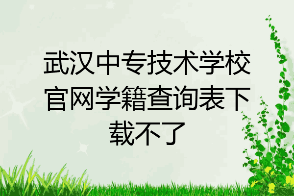 武汉中专技术学校官网学籍查询表下载不了