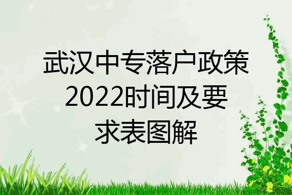 武汉中专落户政策2022时间及要求表图解