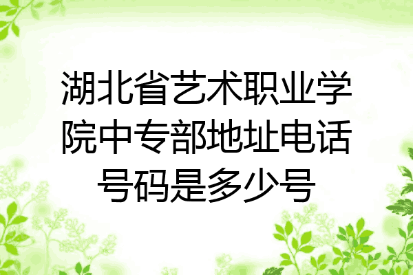 湖北省艺术职业学院中专部地址电话号码是多少号