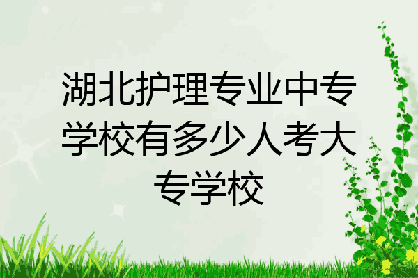 湖北护理专业中专学校有多少人考大专学校