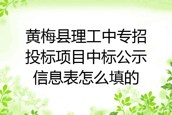 黄梅县理工中专招投标项目中标公示信息表怎么填的