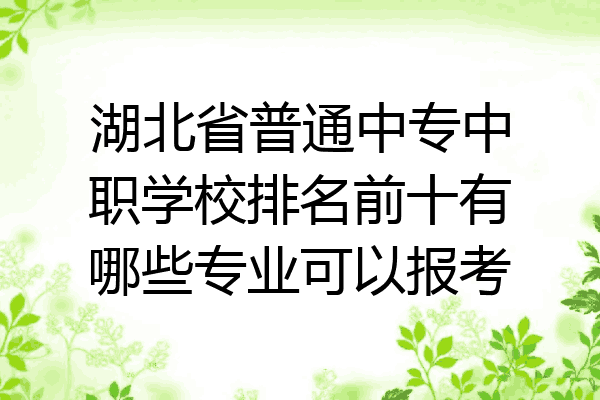 湖北省普通中专中职学校排名前十有哪些专业可以报考