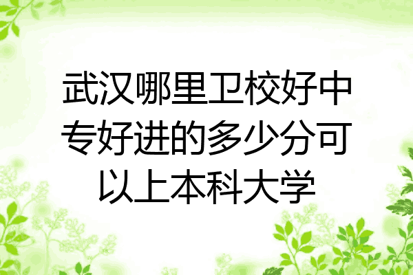 武汉哪里卫校好中专好进的多少分可以上本科大学