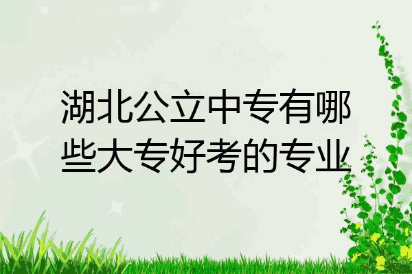 湖北公立中专有哪些大专好考的专业