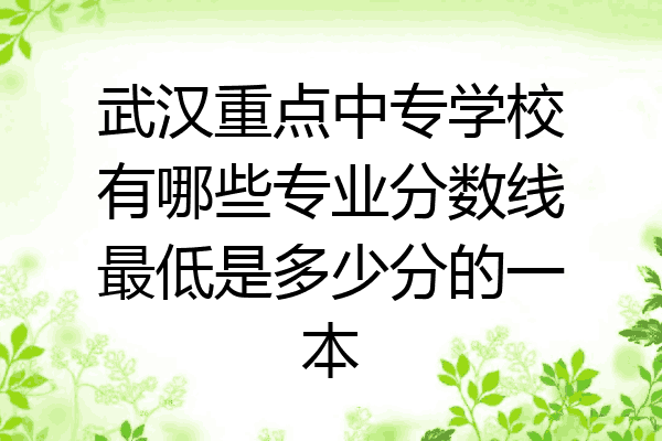 武汉重点中专学校有哪些专业分数线最低是多少分的一本