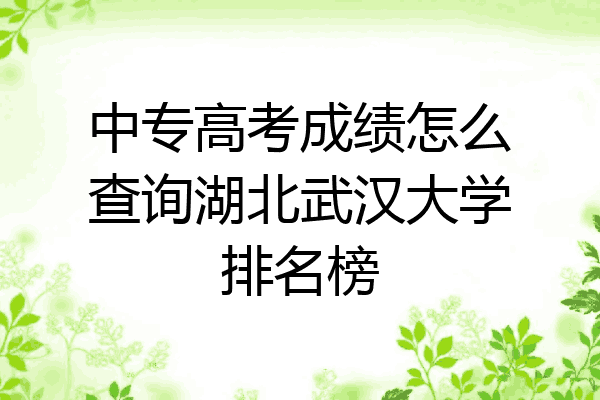 中专高考成绩怎么查询湖北武汉大学排名榜