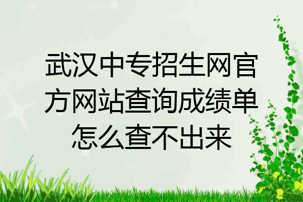 武汉中专招生网官方网站查询成绩单怎么查不出来