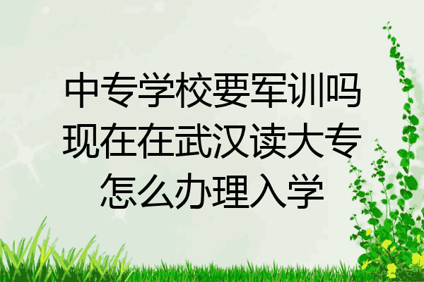 中专学校要军训吗现在在武汉读大专怎么办理入学