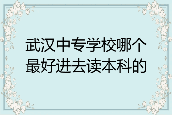 武汉中专学校哪个最好进去读本科的