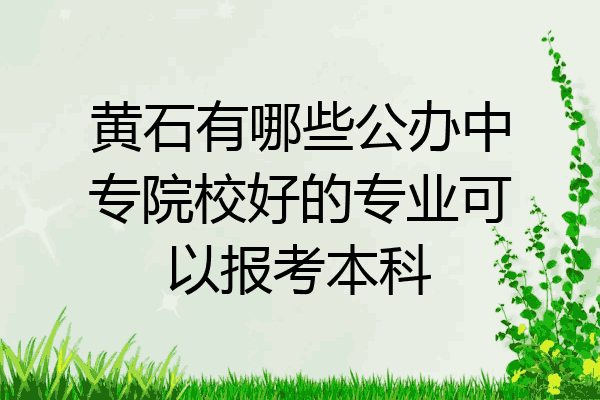 黄石有哪些公办中专院校好的专业可以报考本科