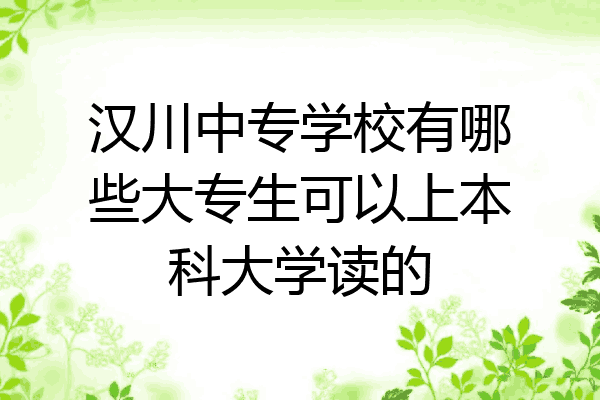 汉川中专学校有哪些大专生可以上本科大学读的