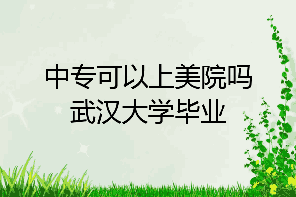 中专可以上美院吗武汉大学毕业