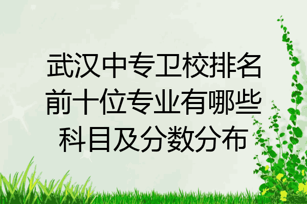 武汉中专卫校排名前十位专业有哪些科目及分数分布