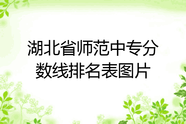 湖北省师范中专分数线排名表图片