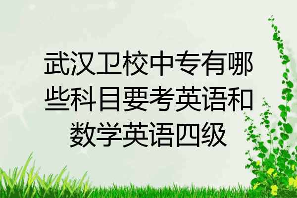 武汉卫校中专有哪些科目要考英语和数学英语四级