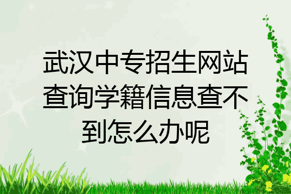 武汉中专招生网站查询学籍信息查不到怎么办呢