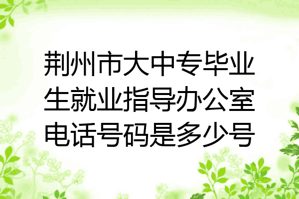 荆州市大中专毕业生就业指导办公室电话号码是多少号