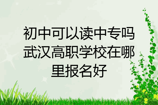 初中可以读中专吗武汉高职学校在哪里报名好
