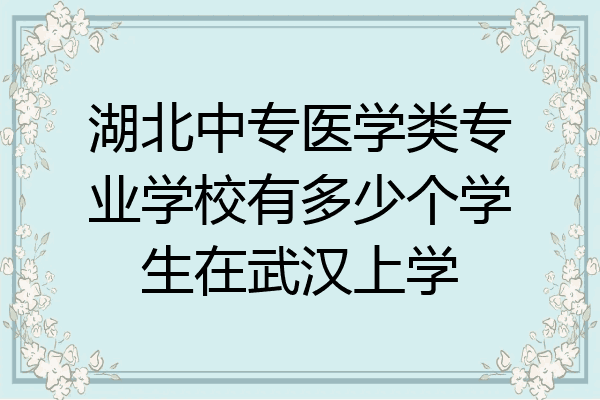 湖北中专医学类专业学校有多少个学生在武汉上学